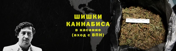 СК Гусев