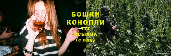 дурь Горняк