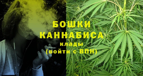 СК Гусев
